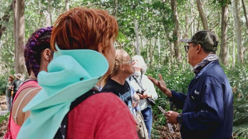 From Merida to Celestún: Biosphere, Flamingos & Beach Escape - From Merida to Celestún: Biosphere, Flamingos & Beach Escape