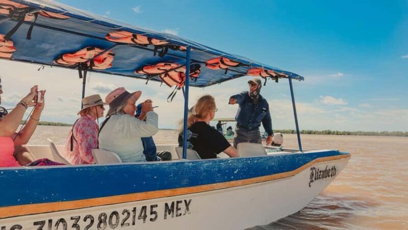 From Merida to Celestún: Biosphere, Flamingos & Beach Escape - Navigating the Mangroves: A Living Ecosystem