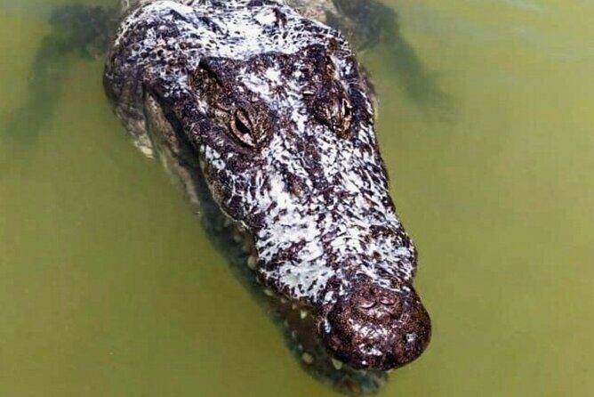From Merida Tour to Las Coloradas and Río Lagartos - FAQ