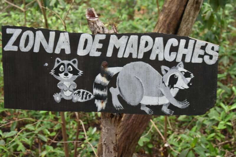 From Merida: Transfer to Celestun and Sisal - In-Depth Review