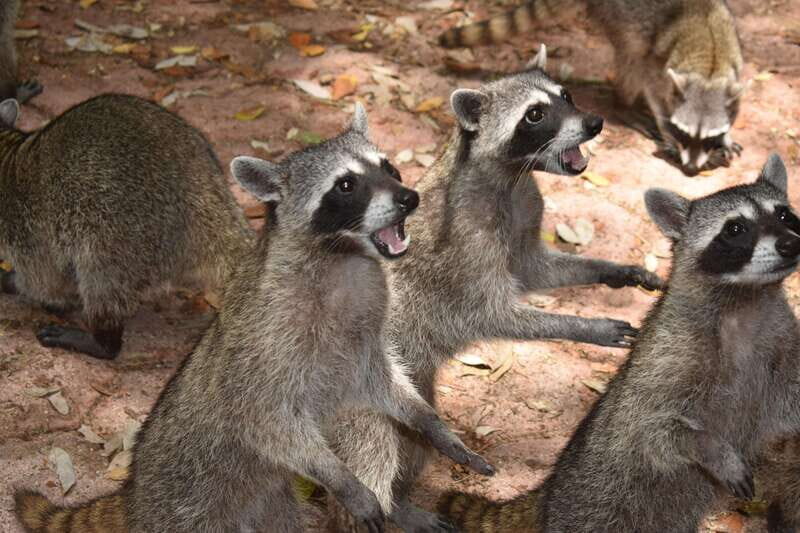 From Merida: Transfer to Celestun and Sisal - The Sum Up