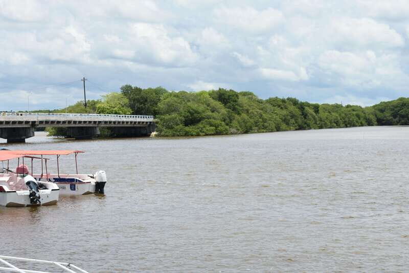 From Merida: Transfer to Celestun and Sisal - FAQ