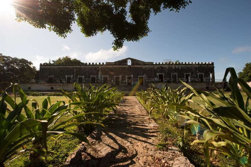 From Merida: Uxmal, Hacienda Yaxcopoil and Cenote with Lunch - Discover the Best of Yucatán: Uxmal, Hacienda Yaxcopoil, and Cenote with Lunch