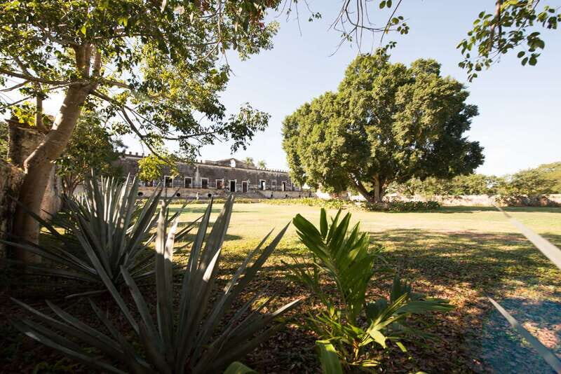 From Merida: Uxmal, Hacienda Yaxcopoil and Cenote with Lunch - Who Will Enjoy This Tour Most?