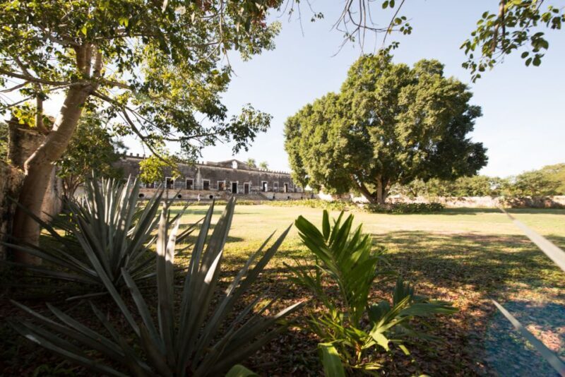From Merida: Uxmal, Hacienda Yaxcopoil and Cenote with Lunch - Final Thoughts