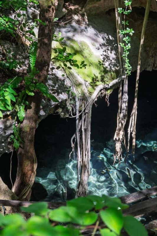From Mérida:Explore 4 Rural Cenotes with a Traditional lunch - FAQs