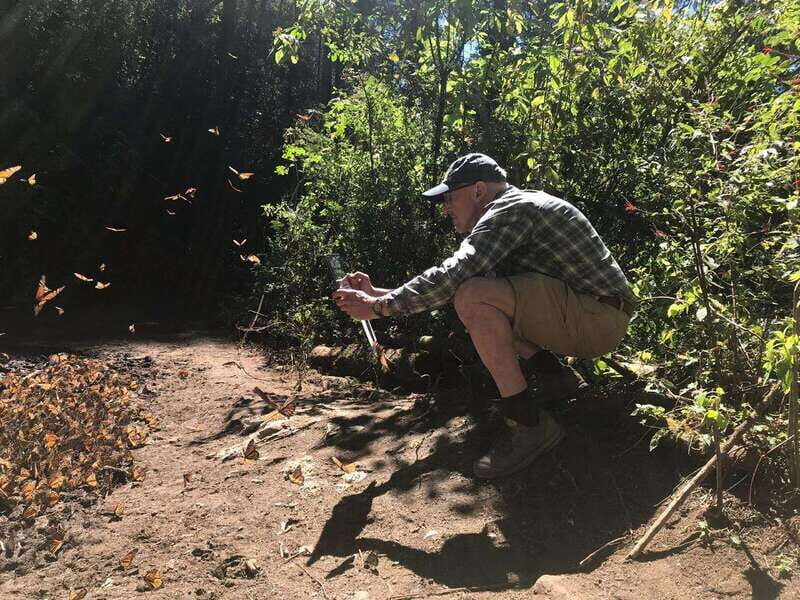 From Mexico City: 7-Day Monarch Butterfly Tour - Discover the Monarch Butterfly Migration in Mexico