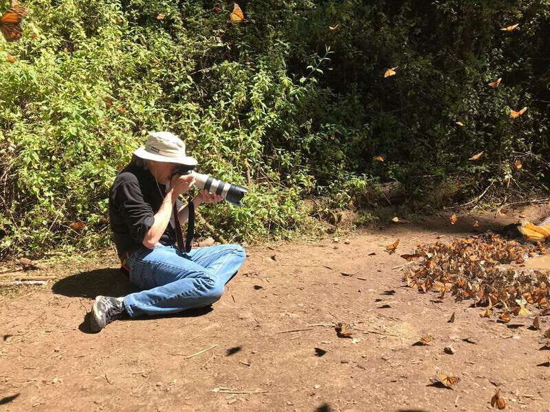 From Mexico City: 7-Day Monarch Butterfly Tour - Exploring Butterfly Sanctuaries: Piedra Herrada and Capulin