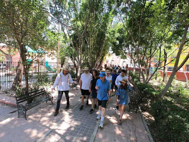 From Mexico City: Colonial San Miguel de Allende Day Tour - An In-Depth Look at the Tour Experience