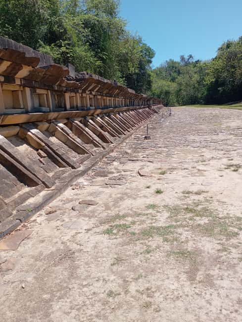From Mexico City: El Tajín Day Trip with Guide - Who Will Love This Tour?