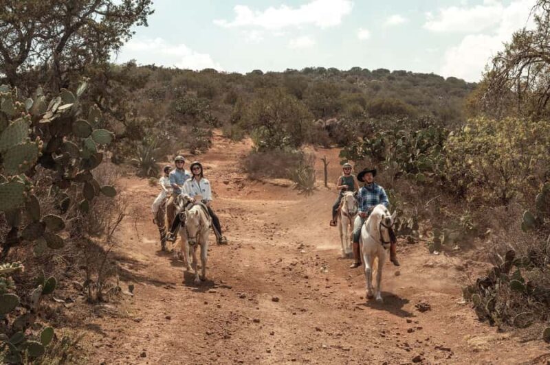 From Mexico City: Horseback Riding in Mexico - What Travelers Say: Authentic Praise