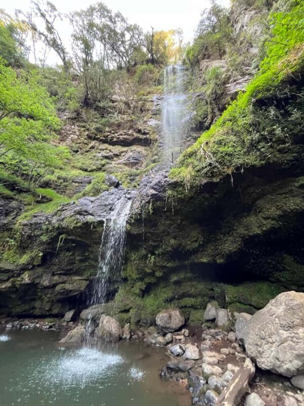 From Mexico City: Tour to 10 waterfalls in Hidalgo - Exploring the Waterfalls and Forest