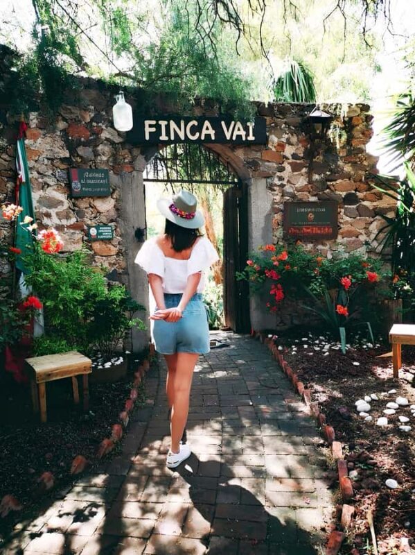 From Mexico City: Wine, Cheese, and Art Culinary Tour in Queretaro - In-Depth Look at the Itinerary