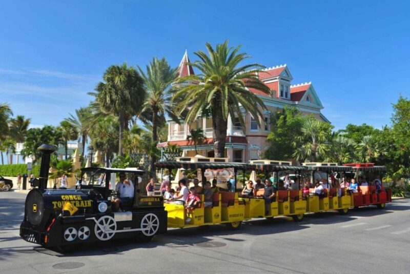 From Miami - Enchanting Key West Tour in a Small Group. - The Journey Begins: Miami to Key West