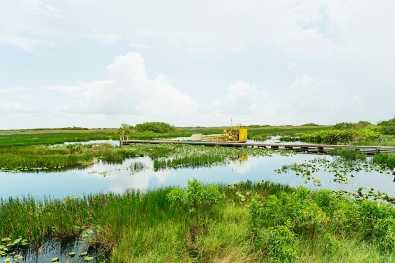 From Miami: Everglades Airboat Ride and Nature Walk - Exploring the Itinerary in Detail