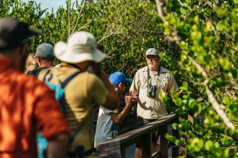 From Miami: Everglades Airboat Ride and Nature Walk - Value and Practical Considerations
