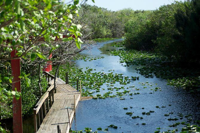 From Miami: Everglades Airboat, Wildlife Show, and Roundtrip Bus - The Sum Up: Who Should Consider This Tour?