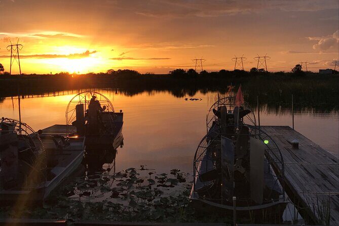 From Miami: Everglades at Night with Airboat and Alligators Tour - Who Will Love This Tour?