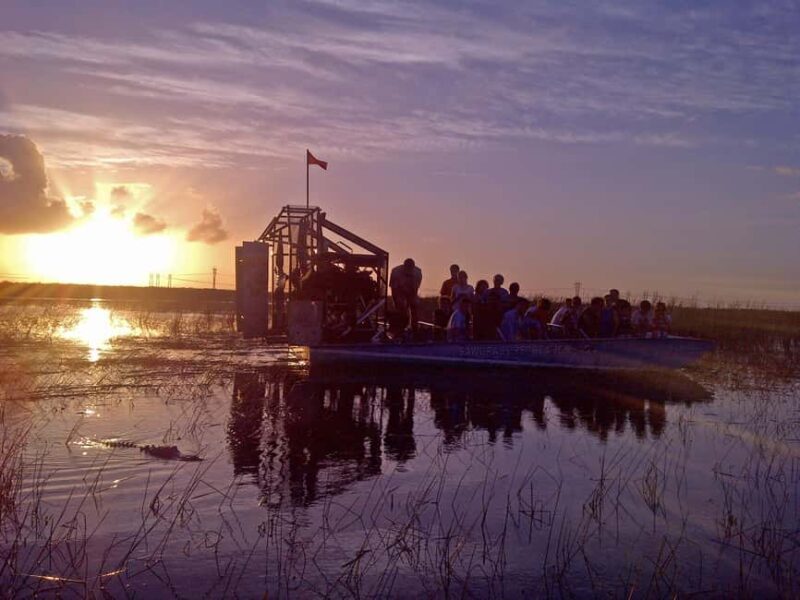 From Miami: Everglades at Night with Guided Airboat Tour - From Miami: Everglades at Night with Guided Airboat Tour