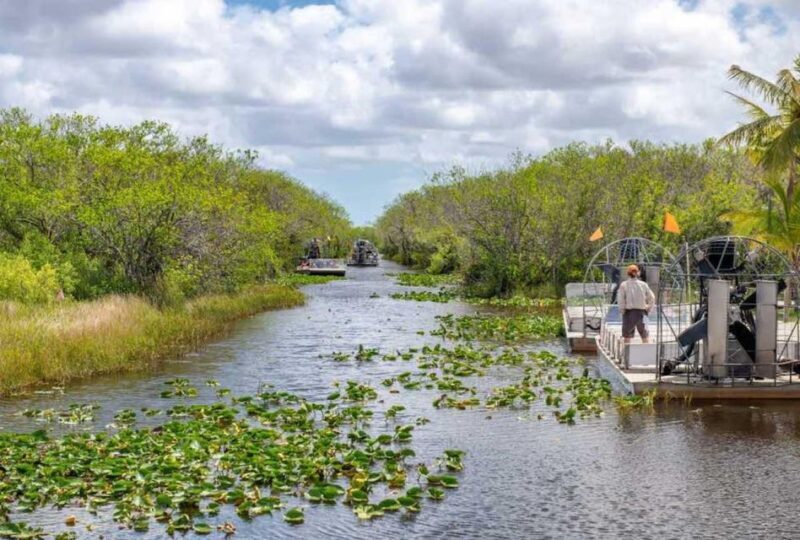 From Miami: Everglades Wildlife Show, Airboat & Bus Transfer - Final Thoughts