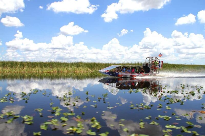 From Miami: Everglades, Wildlife Show, & Hop-on Hop-off Tour - Final Thoughts: Who Will Love This Tour?