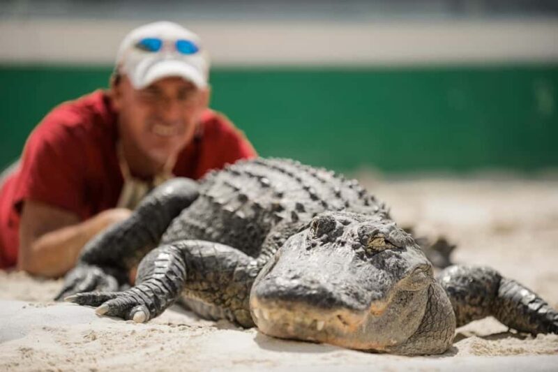 From Miami: Everglades, Wildlife Show, & Hop-on Hop-off Tour - FAQ