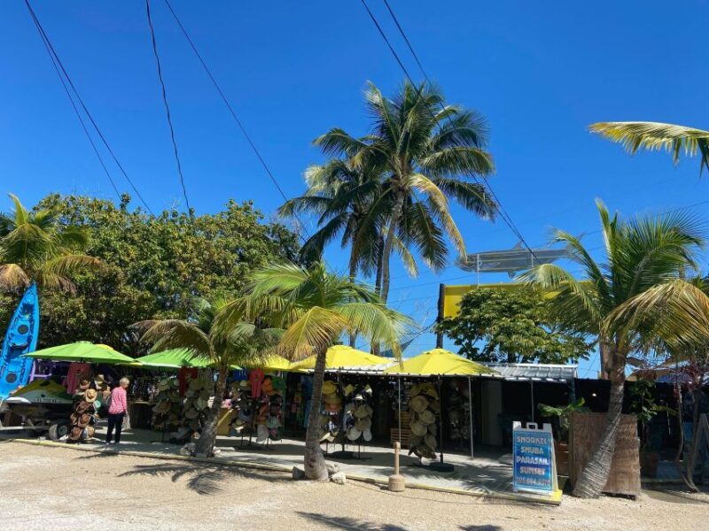 From Miami: Key Largo & Islamorada Private Open-Top Bus Tour - From Miami: Key Largo & Islamorada Private Open-Top Bus Tour — A Detailed Review