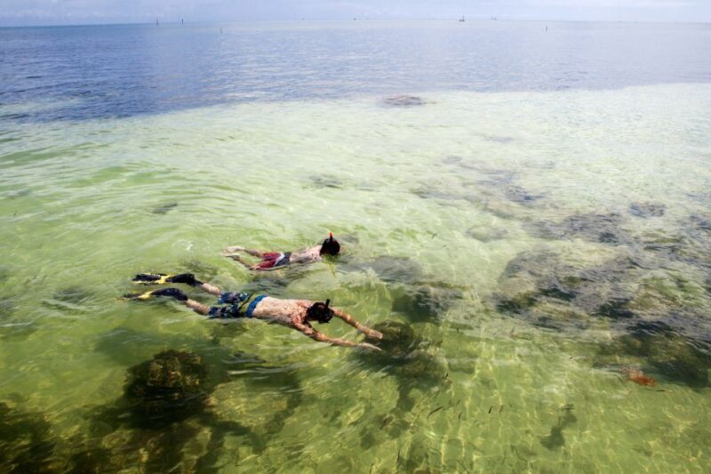 From Miami: Key West Day Tour by Motor Coach Bus - FAQ