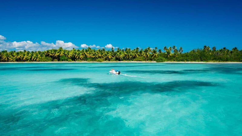 From miches: Isla Catalina Snorkeling Tour with Lunch - Who Will Love This Tour?