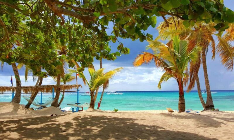 From miches: Isla Catalina Snorkeling Tour with Lunch - Final Thoughts