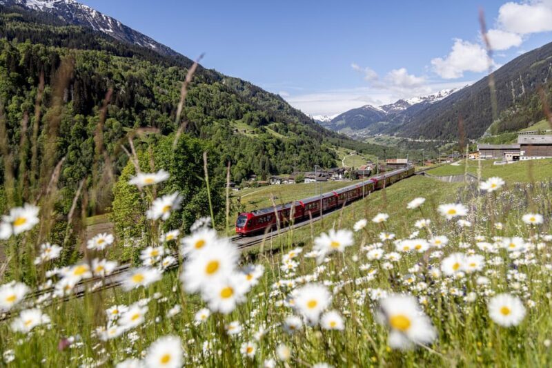 From Milan: Bernina Red Train to St Moritz Guided Tour - Key Points