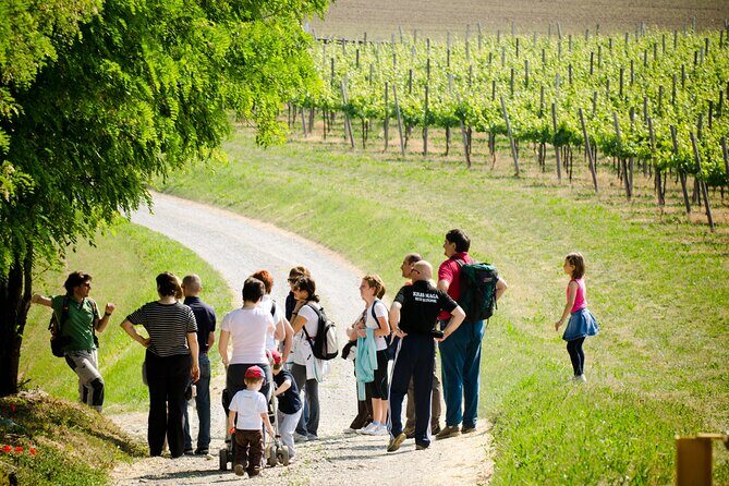 From Milan Full Day in Franciacorta 2 Wineries and Lunch - FAQs