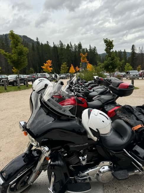 From Milan: Harley Davidson motorcycle tour in 5 countries unique experience! - An In-Depth Review of the Harley Davidson Tour from Milan