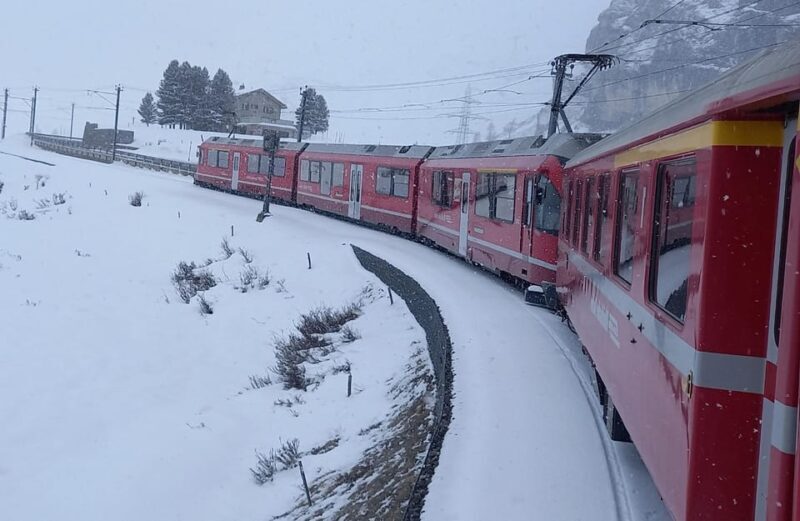 From Milan: Lake Como and Bernina Train Day Trip - Who Should Consider This Tour?