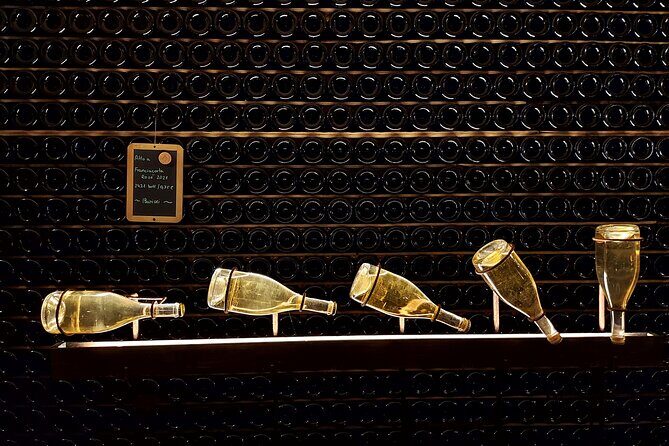 From Milan: Lake Iseo, Bergamo & Franciacorta Wine Tour - What Travelers Say