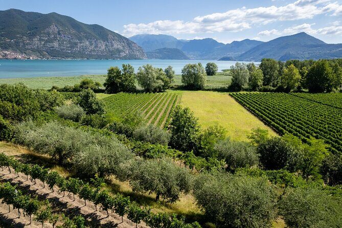 From Milan: Lake Iseo, Bergamo & Franciacorta Wine Tour - FAQ