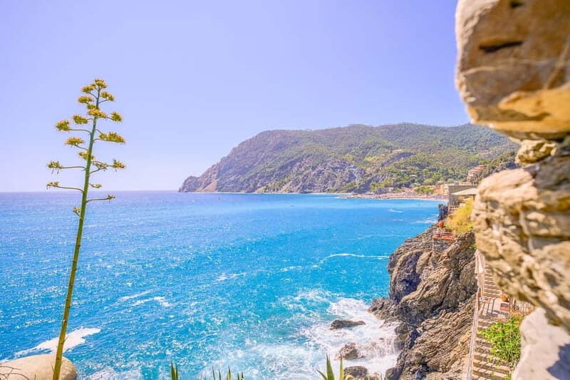 From Milan:Cinque Terre National Park with Limoncino Tasting - The Sum Up