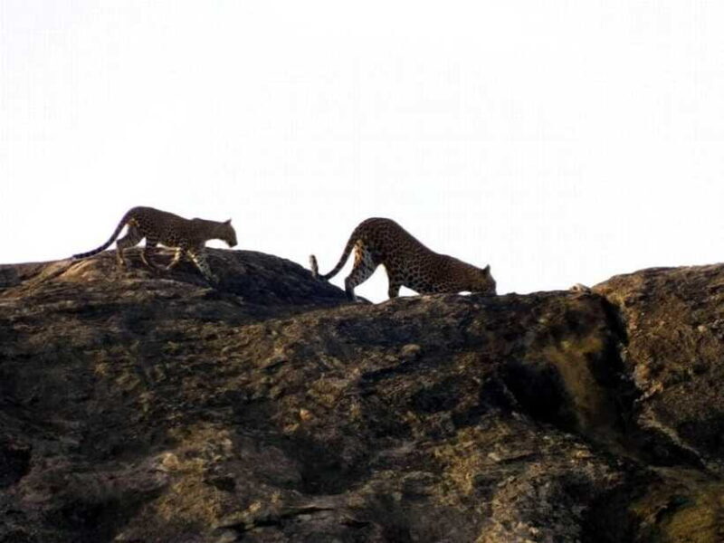 From Mirissa / Galle / Bentota : DAY TOUR to ELLA & Return - Final Thoughts