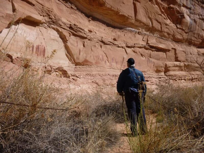 From Moab: 1-Day Horseshoe Canyon Exploration - The Journey into Robbers Roost Country