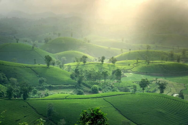 From Moc Chau: 3-Day Tea Farm and Waterfall Tour - Final Thoughts: Who Should Consider This Tour?