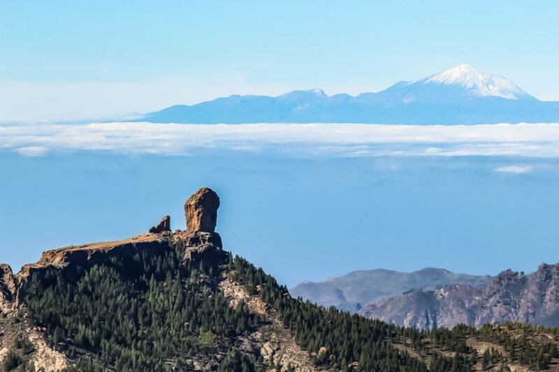 From Mogán/Maspalomas/Arguineguín: Gran Canaria Day Tour - Who Should Consider This Tour?