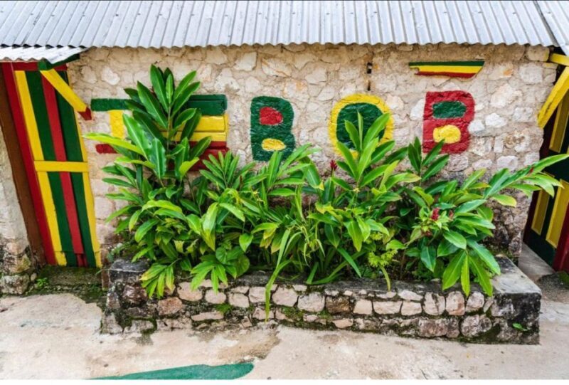 From Montego Bay: Bob Marley 9 mile & Dunns River falls tour - Key Points