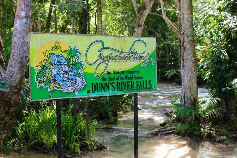 From Montego Bay: Dunns River Falls Experience - Key Points