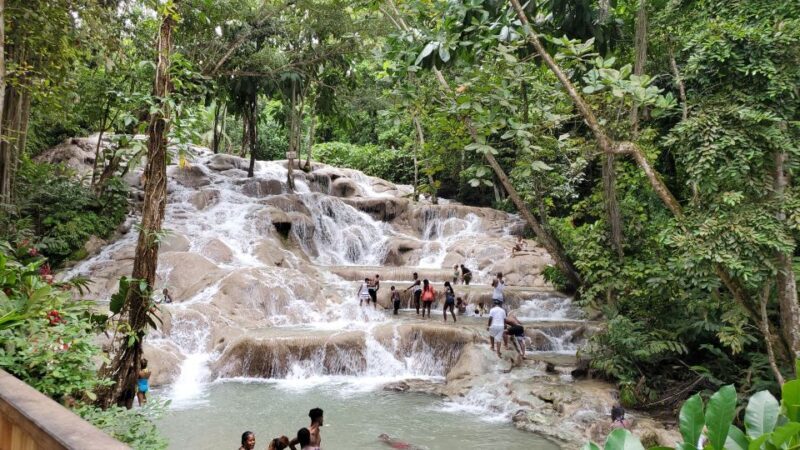 From Montego Bay: Dunns River Falls Experience - Who Should Consider This Tour?