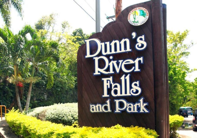 From Montego Bay: Dunns River Falls Experience - The Sum Up