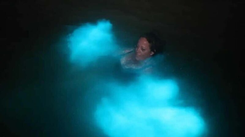 From Montego Bay: Luminous Lagoon Boat Tour with Transfer - Detailed Review: What You Can Expect from the Tour