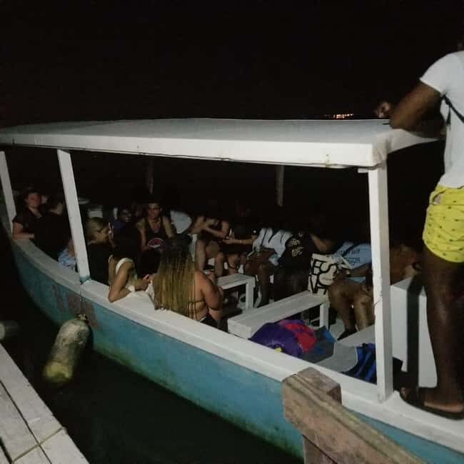 From Montego Bay: Luminous Lagoon Boat Tour with Transfer - Who Should Consider This Tour?