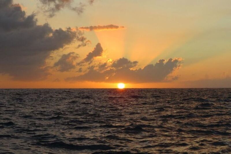 From Montego Bay: Negril Beach and Rick's Café Day Trip - Who Is This Tour Best For?