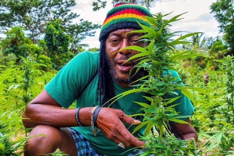 From Montego Bay/Negril: Rasta Safari UTV Experience - In-Depth Review of the Rasta Safari UTV Experience