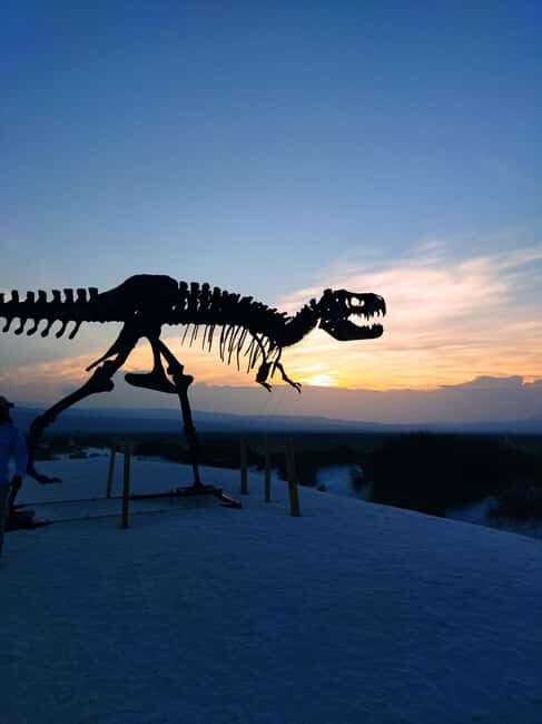 From Monterrey: Tour a Cuatro Ciénegas one day tour - Who Will Love This Experience?